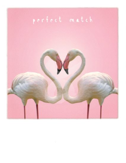 Perfect Match Flamingo-Herz
