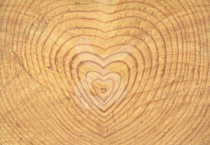 Baum-Herz Jahresringe Grußkarte